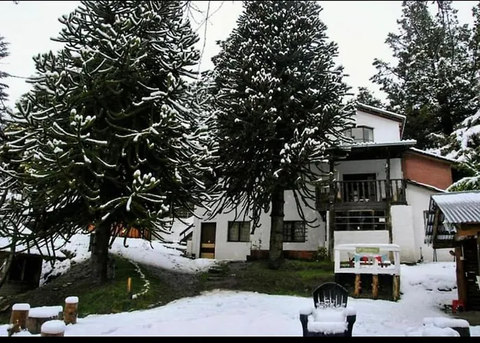 Monoambiente Centrico Con Hermoso Patio