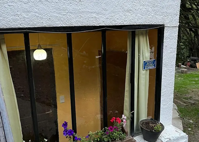 Monoambiente Centrico Con Hermoso Patio
