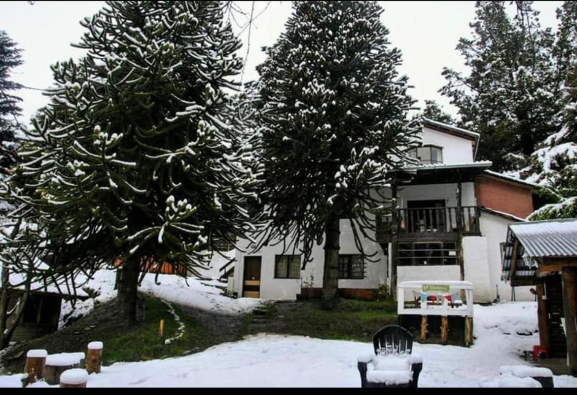 Monoambiente Centrico Con Hermoso Patio Apartment